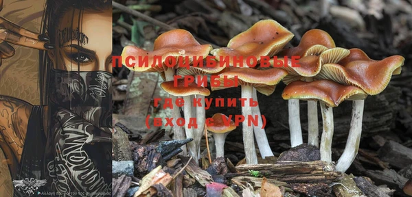 соль ск Волосово