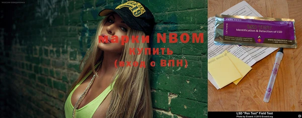 молекула духа Горнозаводск