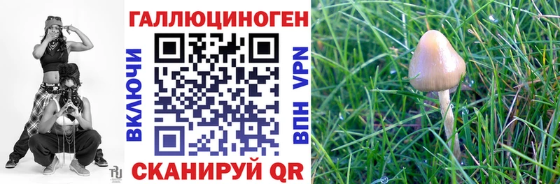 Псилоцибиновые грибы Psilocybine cubensis Железноводск